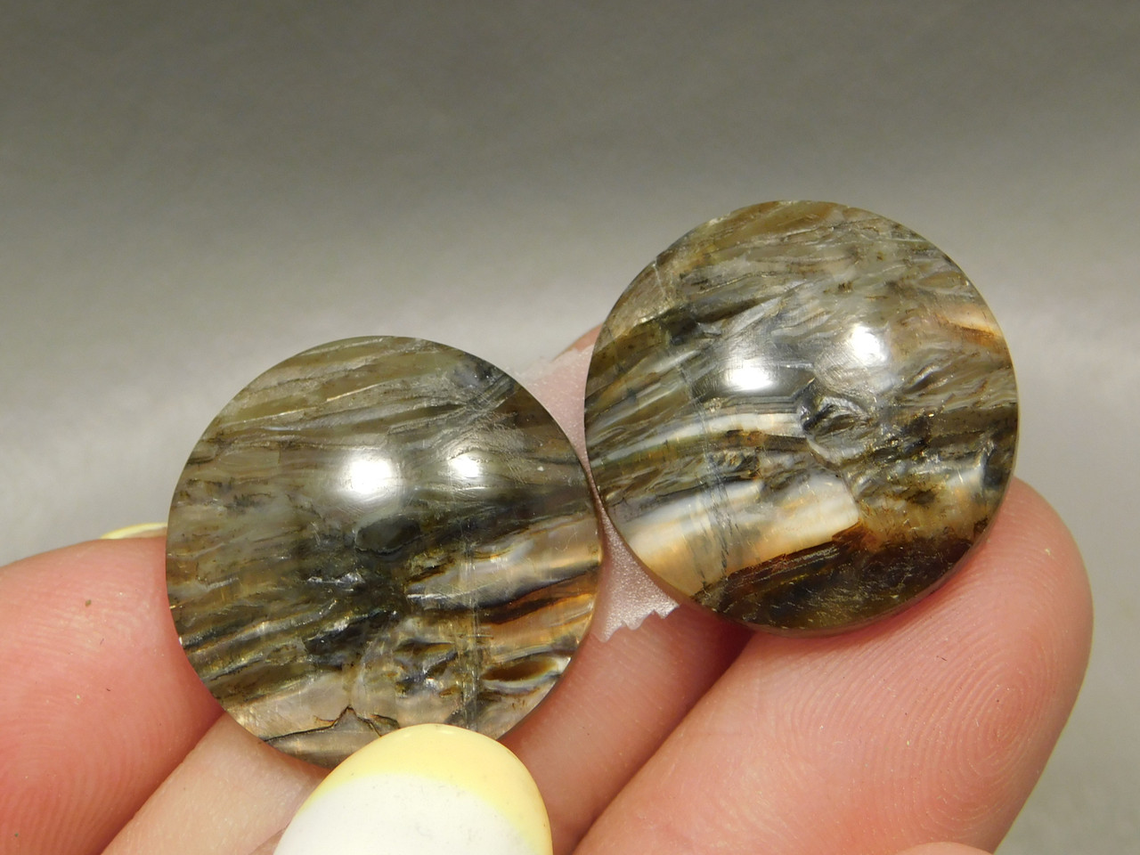 Arizona Pietersite Chatoyant Matched Pair 18 mm Cabochons #9