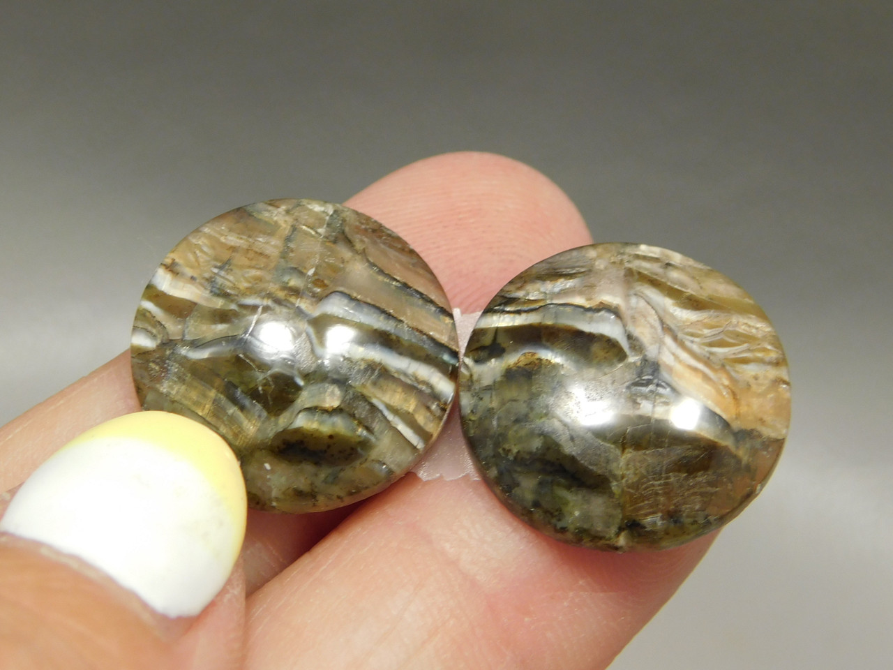 Arizona Pietersite Matched Pair Cabochons #15