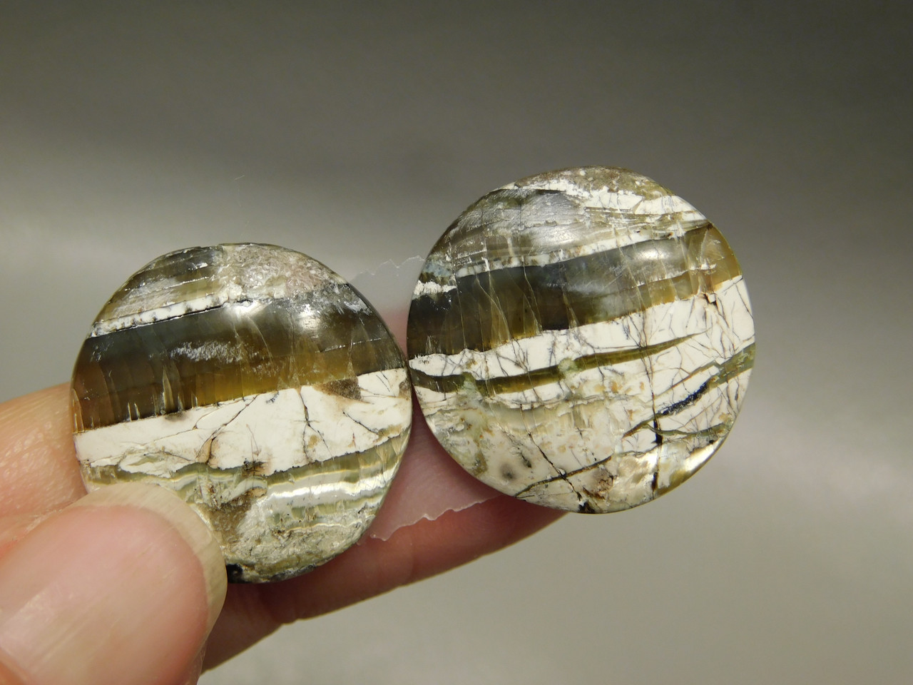 Arizona Pietersite Matched Pair Cabochons #19