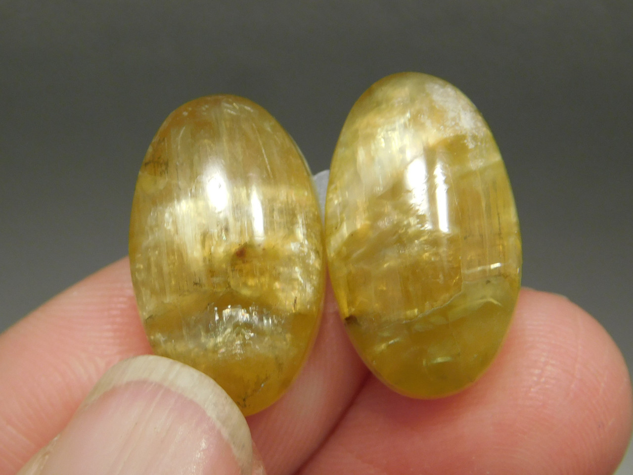 Arizona Pietersite Matched Pair Cabochons #23