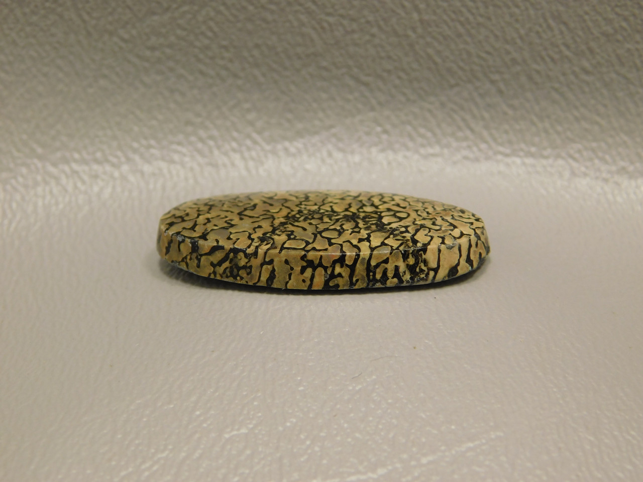 Dinosaur Bone Cabochon #3