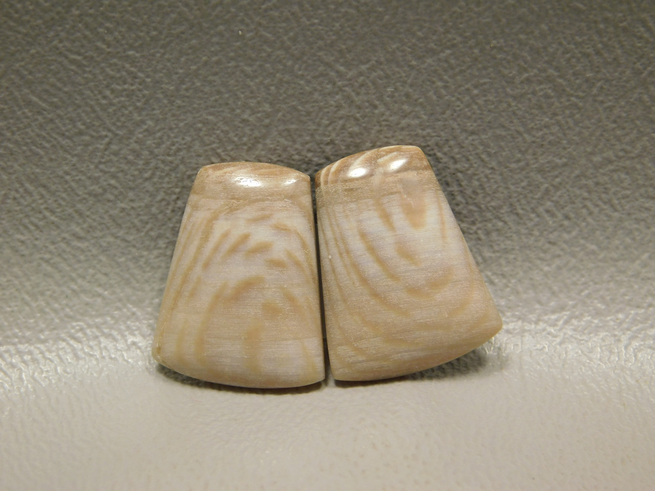 Badger Pocket Sycamore Wood Matched Pair Cabochons Stones #24