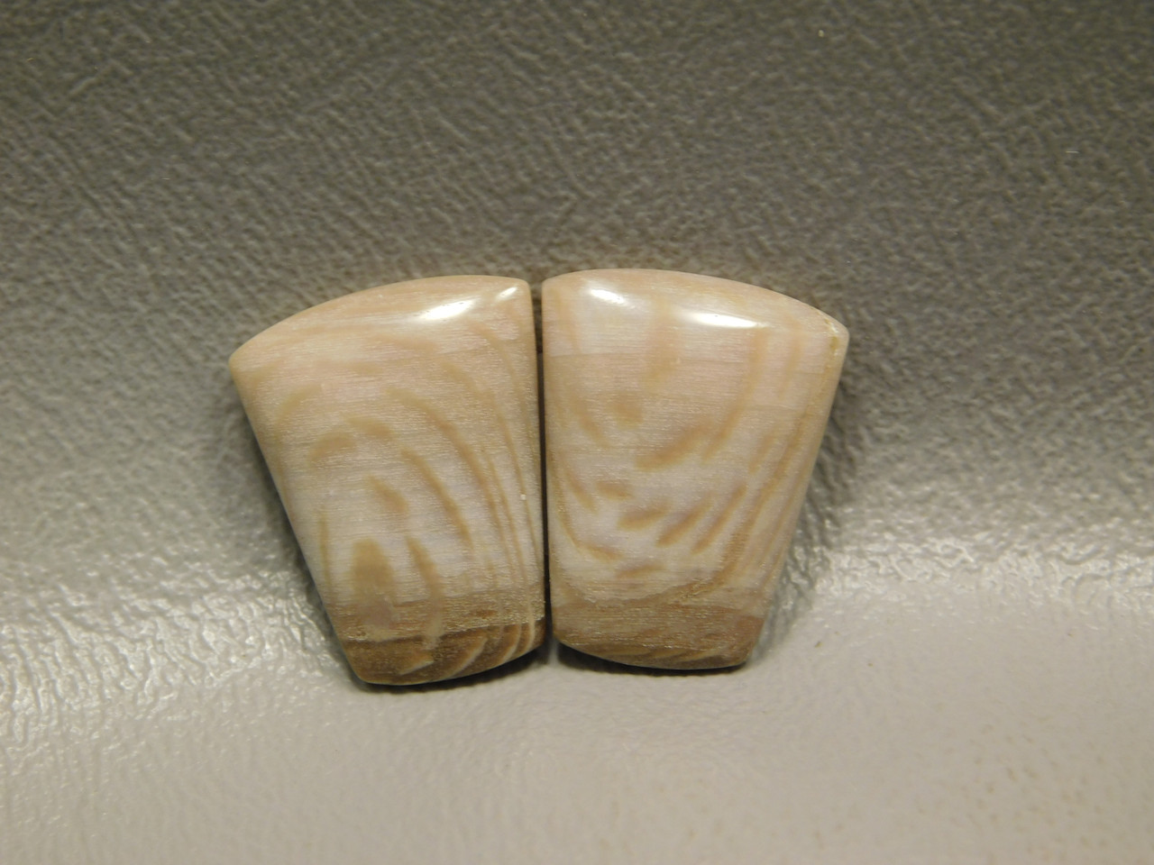 Badger Pocket Sycamore Wood Matched Pair Cabochons Stones #24