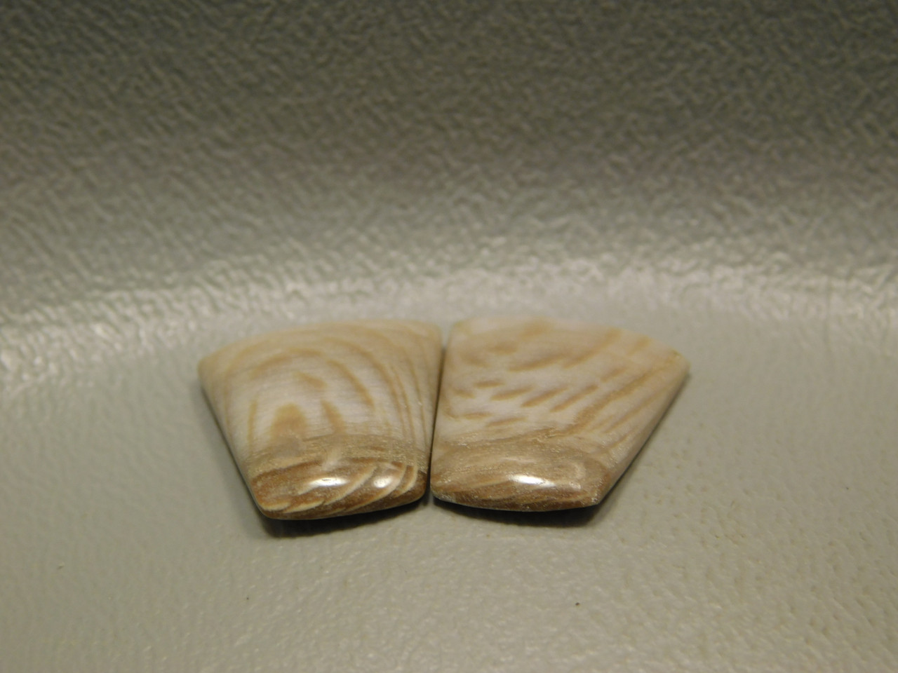 Badger Pocket Sycamore Wood Matched Pair Cabochons Stones #24