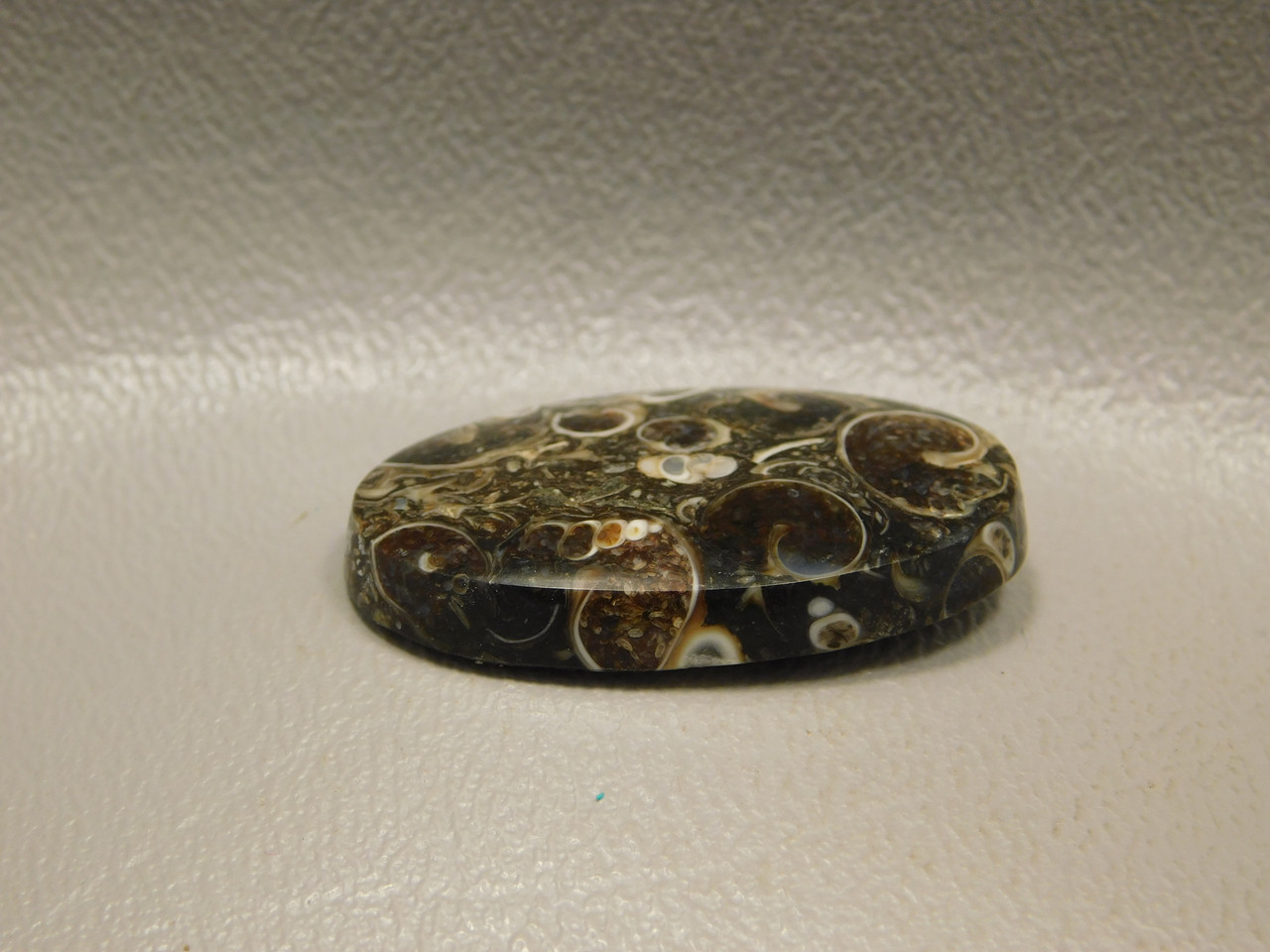 Turritella Agate Fossil Cabochon #5