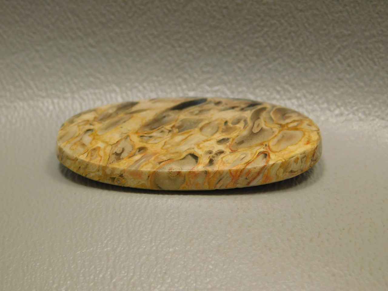 Petrified Palm Wood Fossilized Cabochon Stone Indonesia #14