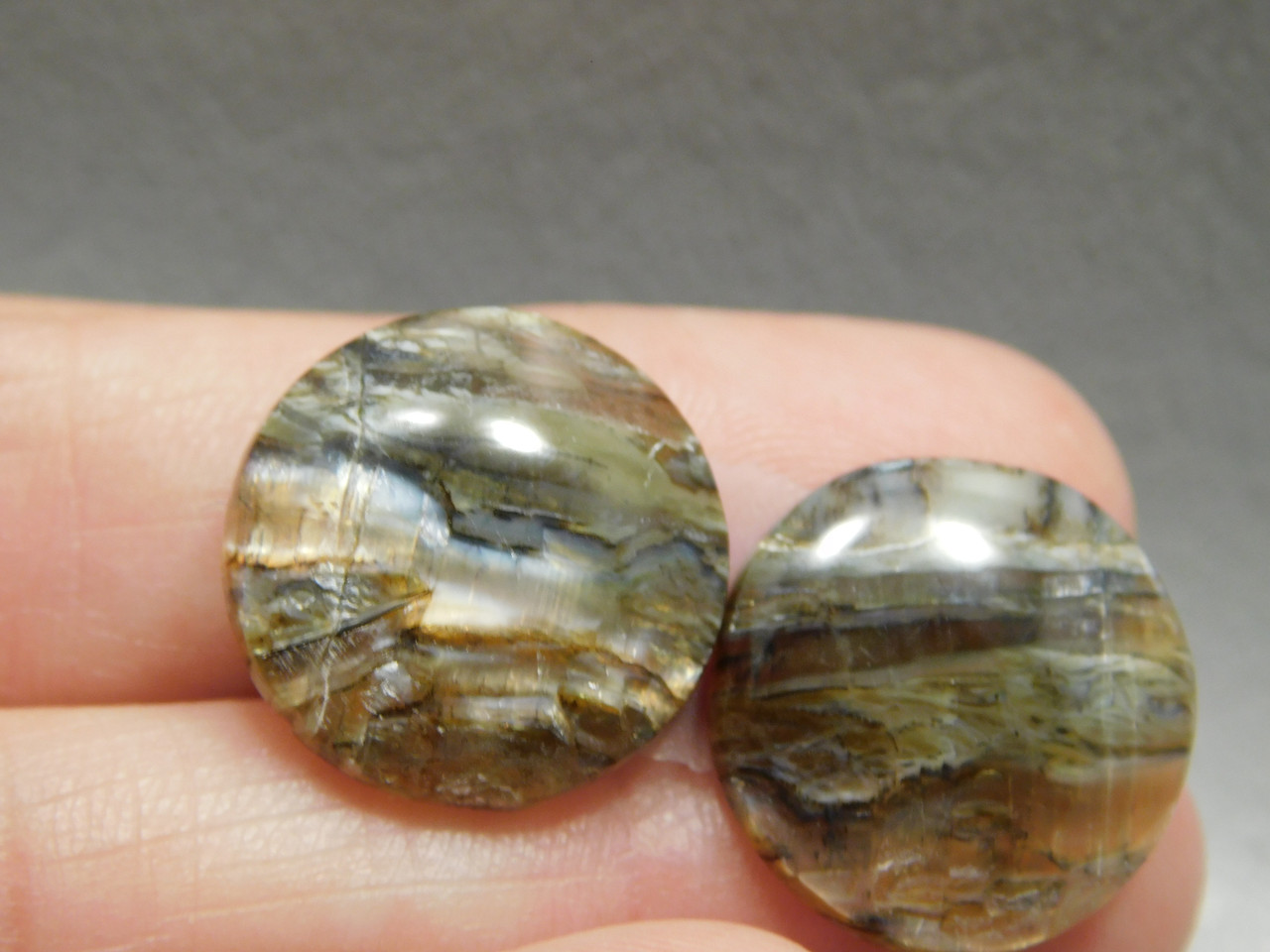 Arizona Pietersite Chatoyant 16 mm Round Pair Stone Cabochons #2