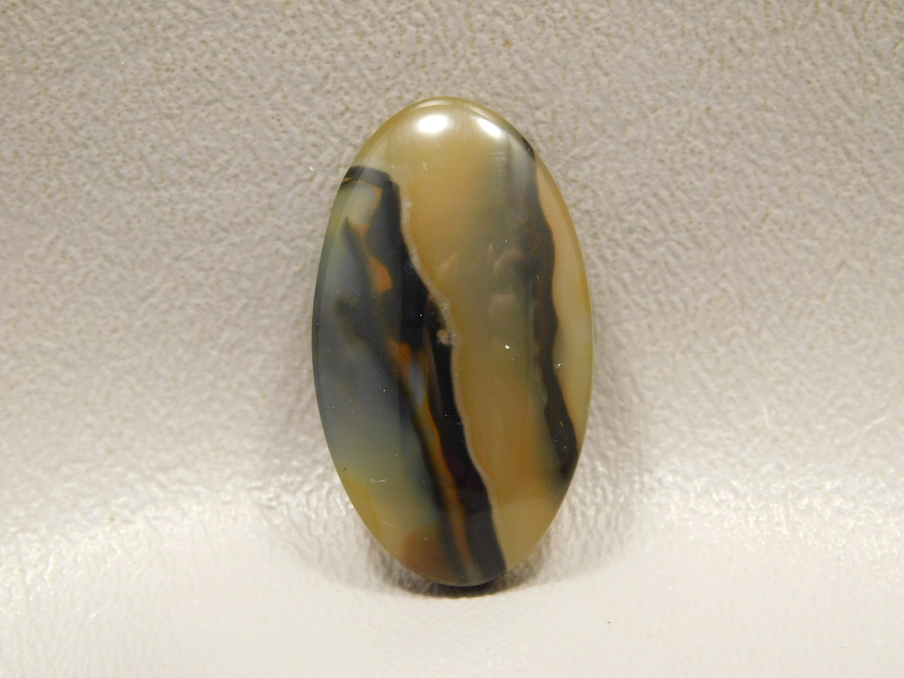 Brazilian Piranha Agate Cabochon #16