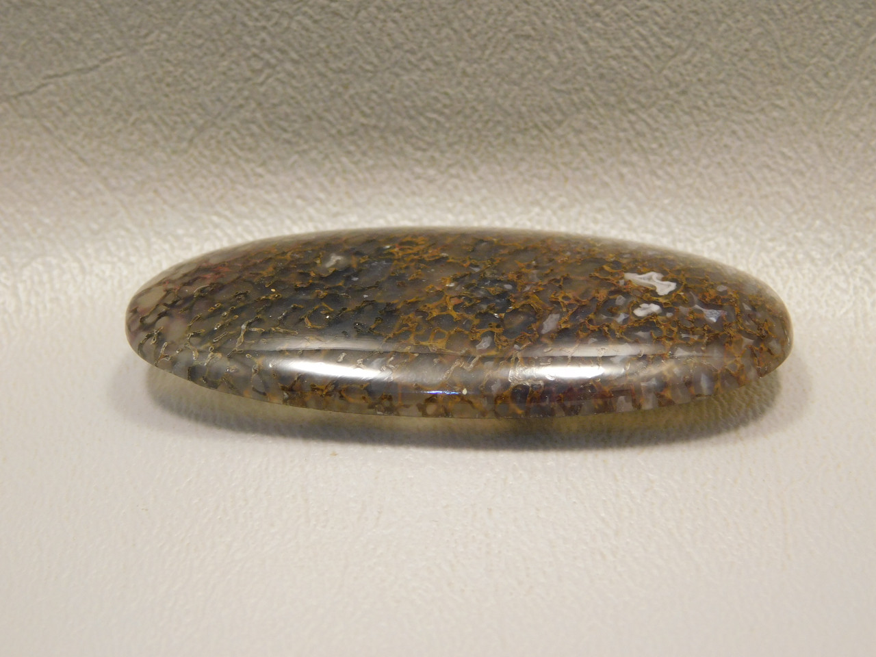 Dinosaur Bone Cabochon #21