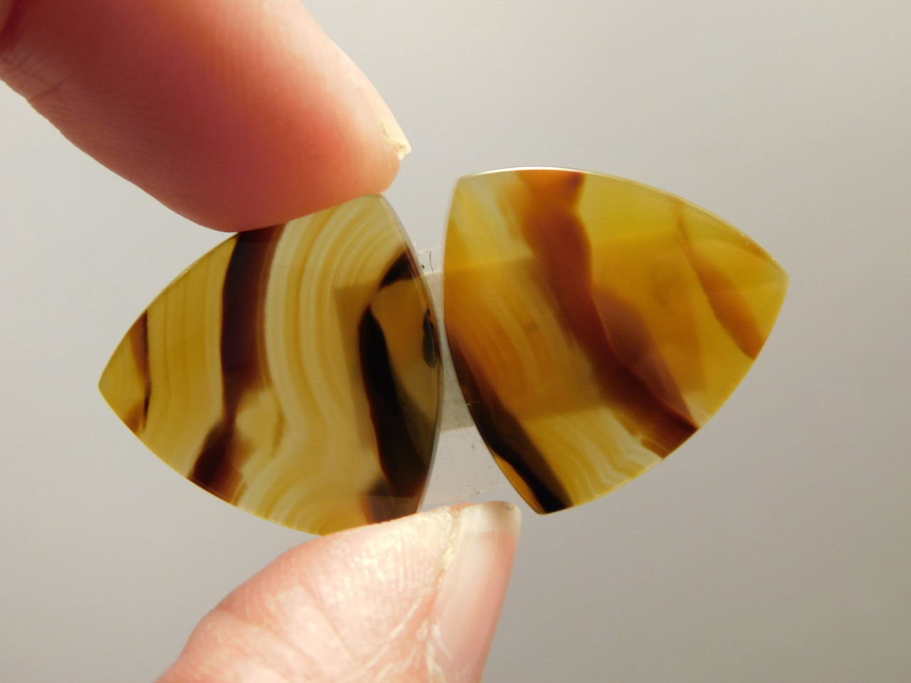 Brazilian Piranha Agate Matched Pair Cabochons #2