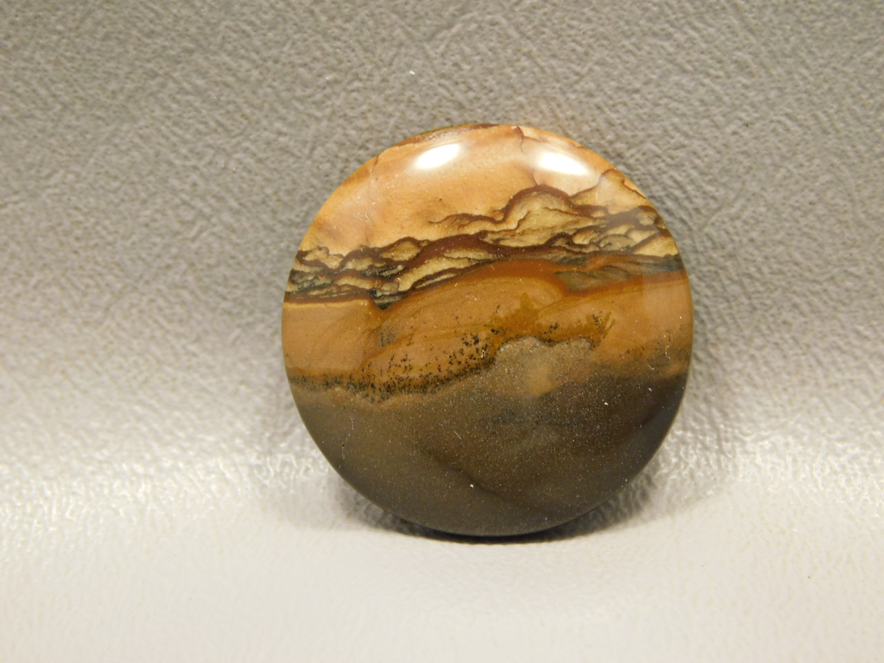 Biggs Jasper Cabochon #12