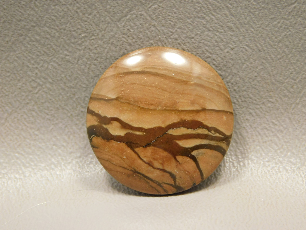 Biggs Jasper Cabochon #19