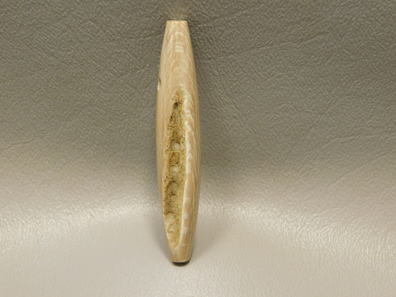 Petrified Sycamore Wood Stone Bead Pendant #2