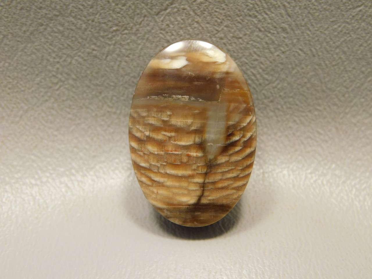 Petrified Sycamore Wood Stone Bead Pendant #3