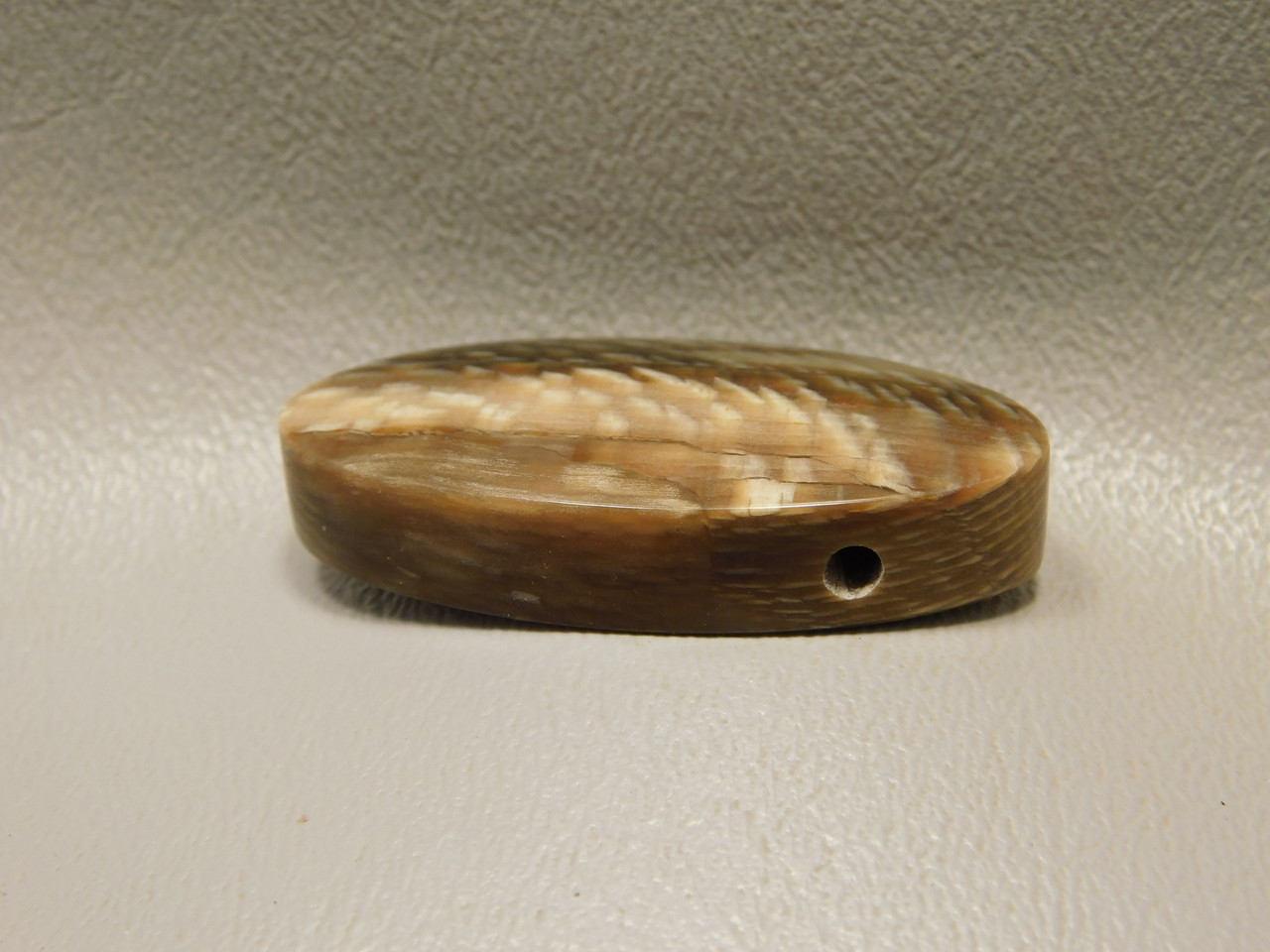 Petrified Sycamore Wood Stone Bead Pendant #5