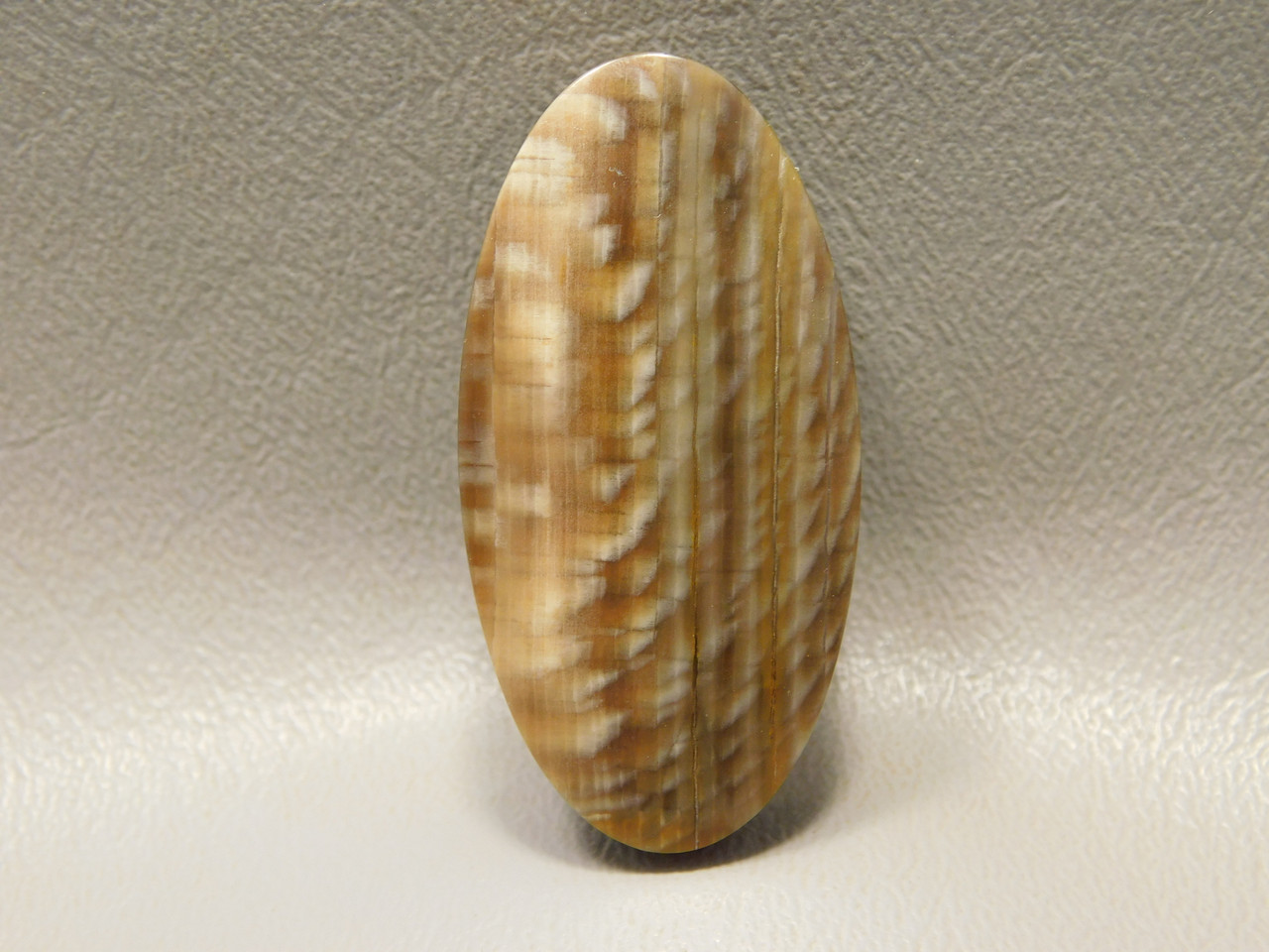 Petrified Sycamore Wood Stone Bead Pendant #7