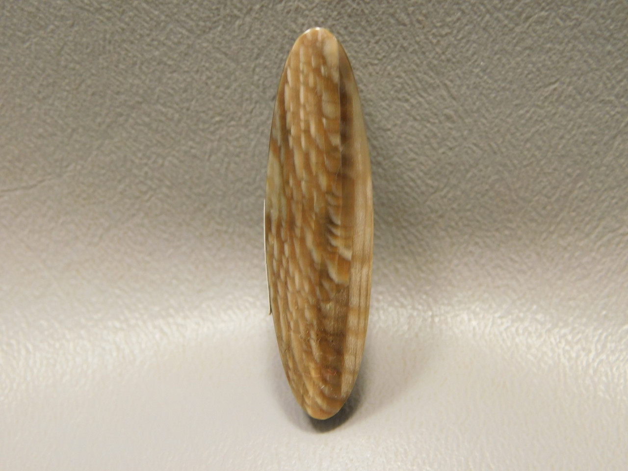 Petrified Sycamore Wood Stone Bead Pendant #9