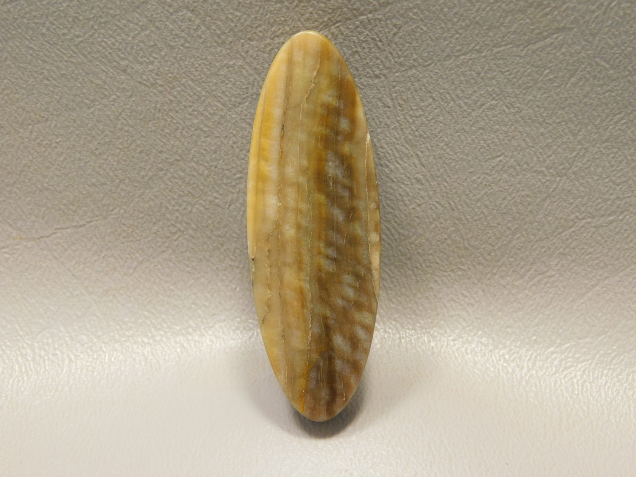 Petrified Sycamore Wood Stone Bead Pendant #11