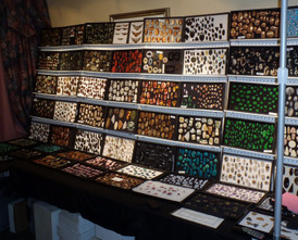 Search engines and using the SEARCH Box