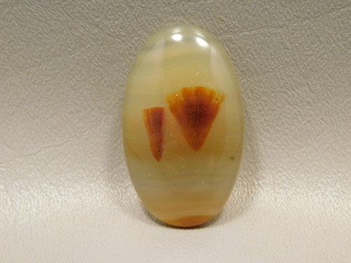 Brazilian Piranha Agate Cabochon #17