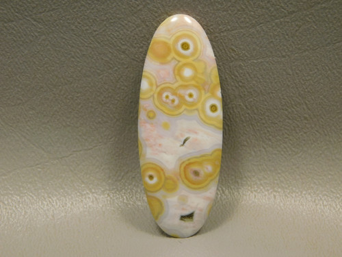 Ocean Jasper Cabochon #17