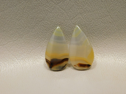 Brazilian Piranha Agate Matched Pair Cabochons #22