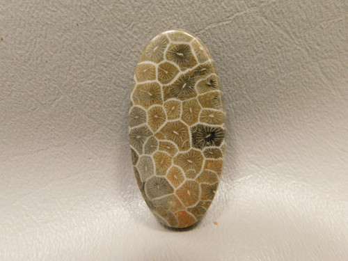 Flower Jasper Cabochon #F15