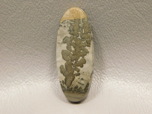 Cotham Marble Cabochon #7