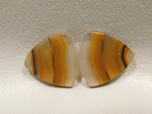 Brazilian Piranha Agate Matched Pair Cabochons #16