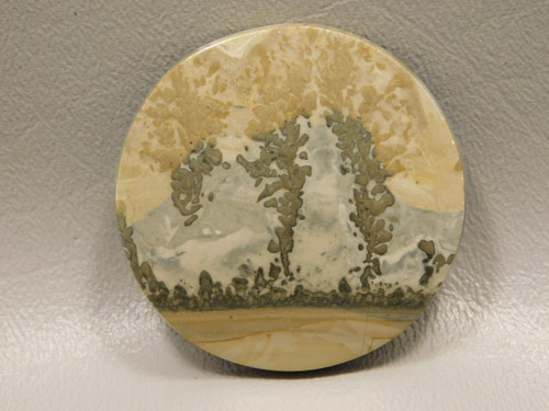 Cotham Marble Cabochon #1