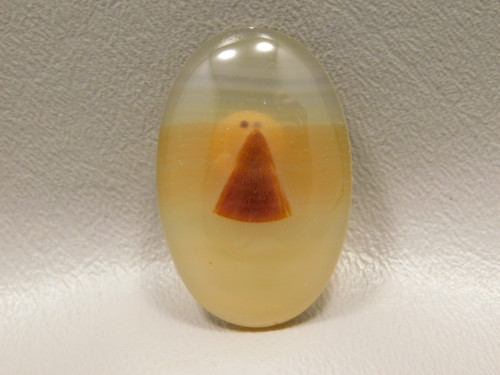 Brazilian Piranha Agate Cabochon #6