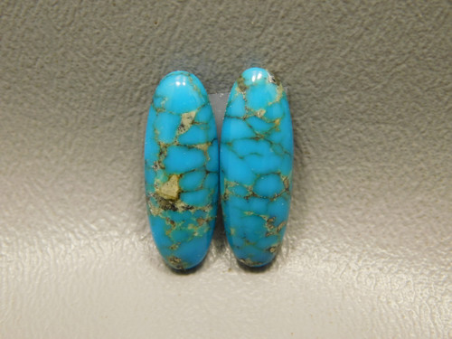Turquoise Matched Pair Cabochons #20
