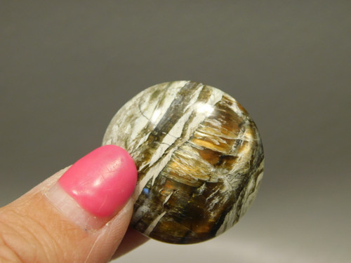 Arizona Pietersite Cabochon #17