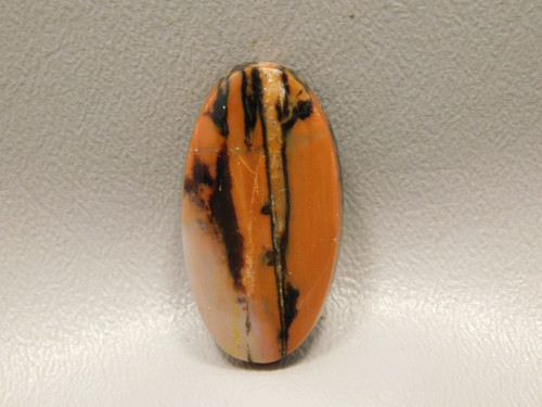 Petrified Rainbow Wood Cabochon Arizona #6