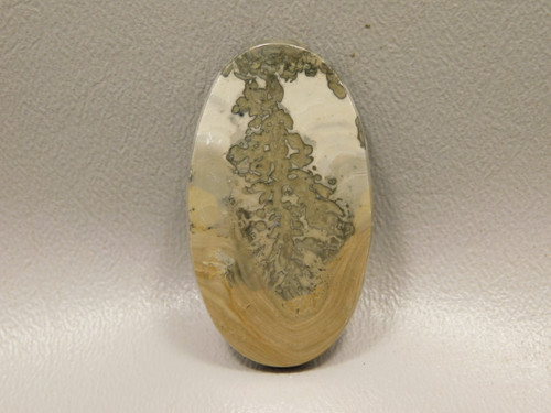 Cotham Marble Cabochon #8