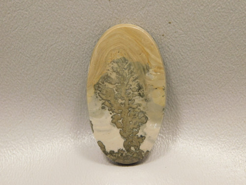 Cotham Marble Cabochon #8