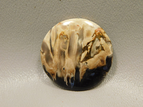 Petrified Palm Wood Cabochon Indonesia #12