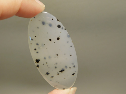 Montana Agate Cabochon #11