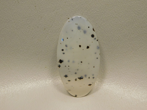 Montana Agate Cabochon #11