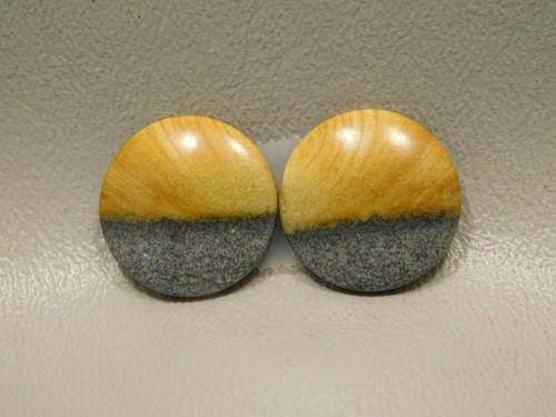 Starry Night Picture Jasper Matched Pair Cabochons #15