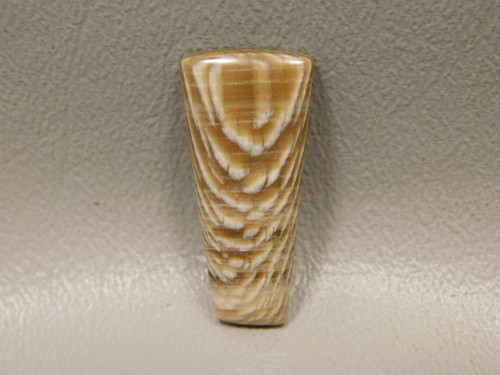 Petrified Sycamore Wood Cabochon #24