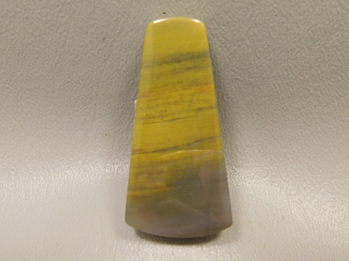 Arizona Rainbow Petrified Wood Stone Bead Pendant #2