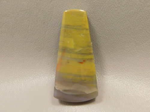 Arizona Rainbow Petrified Wood Stone Bead Pendant #2