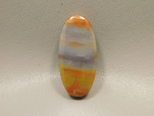Arizona Rainbow Petrified Wood Stone Bead Pendant #4