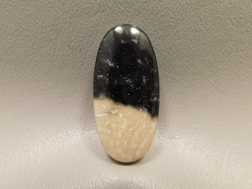 Petrified Palm Wood Stone Bead Pendant #10