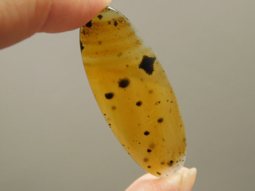 Montana Agate Cabochon #9