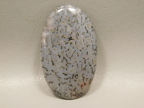 Dinosaur Bone Cabochon #5