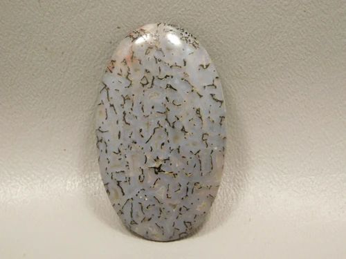 Dinosaur Bone Cabochon #5