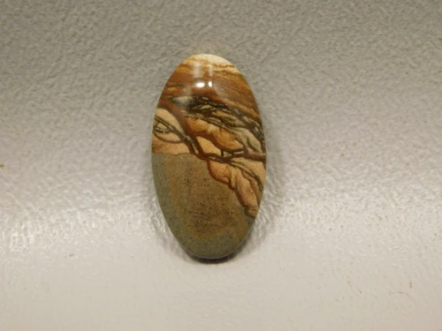 Deschutes Jasper Cabochon #9