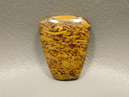 Coquina Jasper Cabochon #2